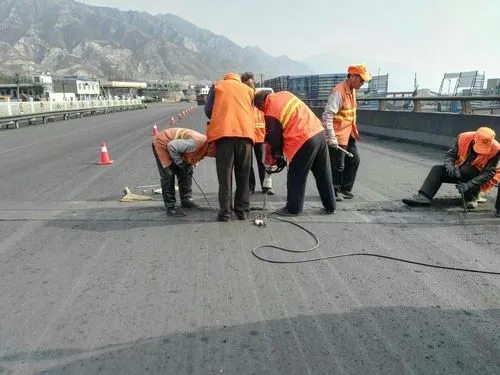 鼎城道路桥梁病害治理